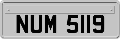 NUM5119