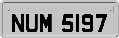 NUM5197