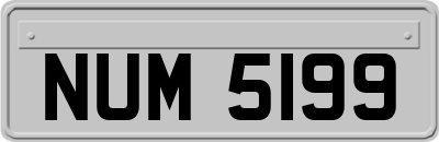 NUM5199