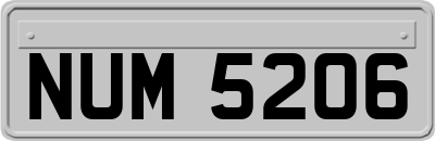 NUM5206
