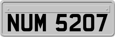 NUM5207