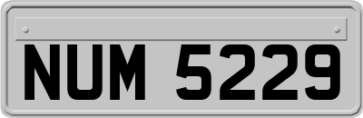 NUM5229