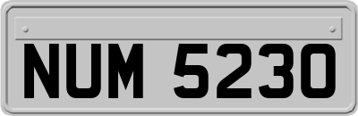 NUM5230