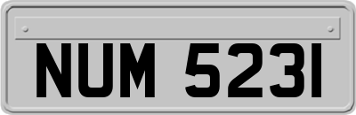 NUM5231