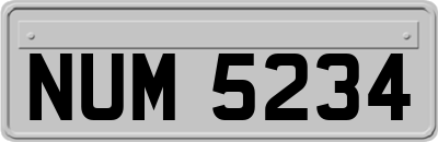 NUM5234