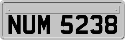 NUM5238