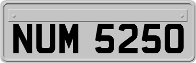 NUM5250