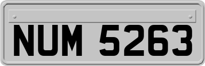 NUM5263
