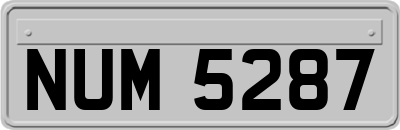 NUM5287