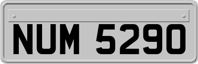 NUM5290