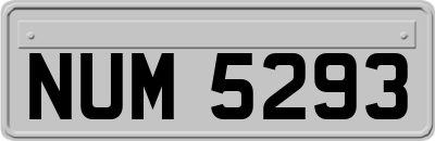 NUM5293