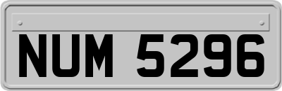 NUM5296
