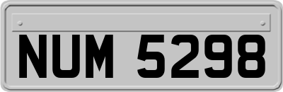 NUM5298
