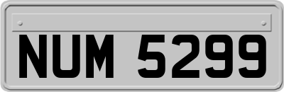 NUM5299