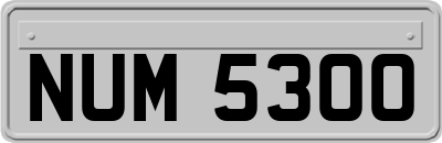 NUM5300