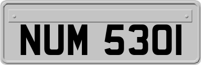 NUM5301