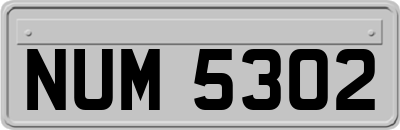 NUM5302