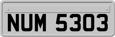 NUM5303