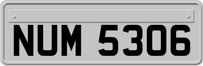 NUM5306