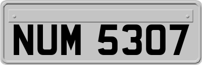 NUM5307