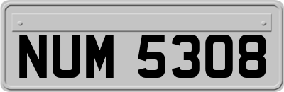 NUM5308