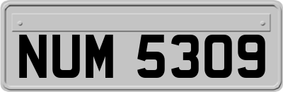 NUM5309