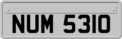 NUM5310