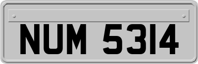NUM5314
