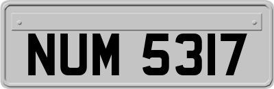 NUM5317