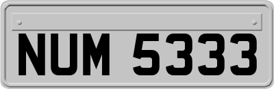 NUM5333