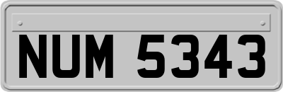 NUM5343