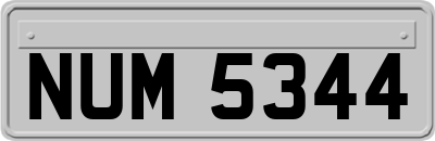 NUM5344