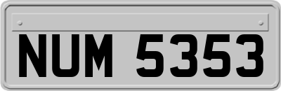 NUM5353