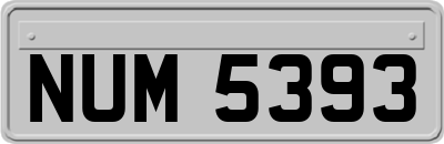 NUM5393