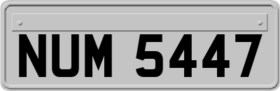 NUM5447