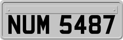NUM5487