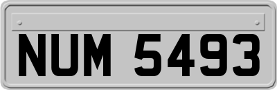 NUM5493