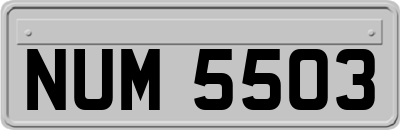 NUM5503