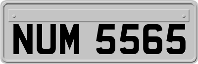 NUM5565