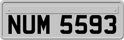 NUM5593