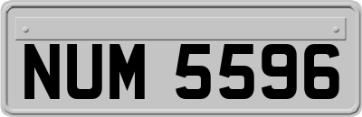 NUM5596