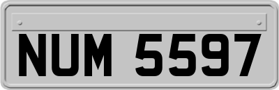 NUM5597
