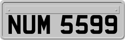 NUM5599