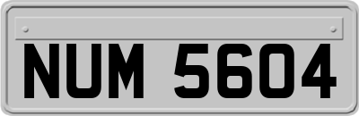 NUM5604