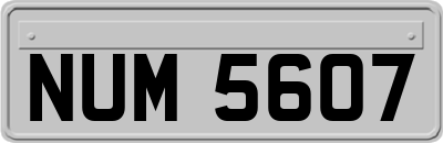 NUM5607
