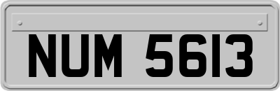NUM5613