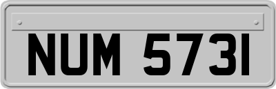 NUM5731