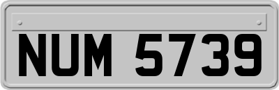 NUM5739