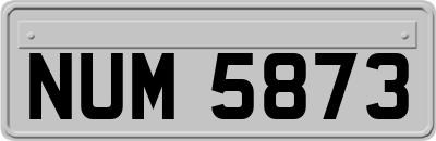 NUM5873