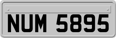 NUM5895